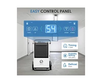 250-Pint 1-Speed Dehumidifier Energy Star (For Rooms 3001+ sq ft)