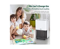 30-Pint 2-Speed Dehumidifier Energy Star (For Rooms 1501- 3000 sq ft)