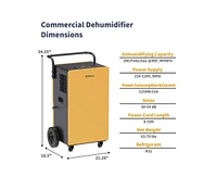 200-Pint 2-Speed Dehumidifier Energy Star (For Rooms 3001+ sq ft)