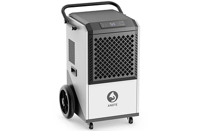 250-Pint 1-Speed Dehumidifier Energy Star (For Rooms 3001+ sq ft)