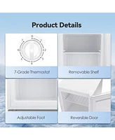 Zafro 1.1 Cu. Ft. Small Upright Freezer – This compact mini freezer features removable shelves, an adjustable thermostat, and a reversible door