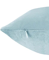 Nestl Elegant Velvet Removeable Cover 2-Pack Decorative Pillows