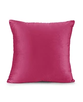 Nestl Elegant Velvet Removeable Cover 2-Pack Decorative Pillows