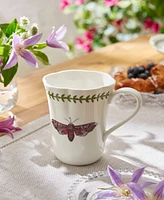 Portmeirion Botanic Garden Lotus Blossom Mugs, Set of 4