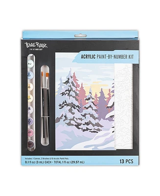 Acrylic Paint-By-Number Kit