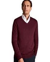 Charles Tyrwhitt Men's Pure Merino V Neck Sweater