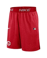 Nike Men's Red Cincinnati Reds Authentic Collection Performance Knit Shorts