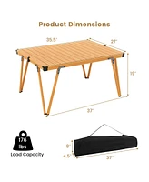 Folding Camping Table Picnic with Storage Bag and Waterproof Desktop