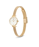 Daniel Wellington Unisex Analog Gold-Tone Stainless Steel Watch, 19mm