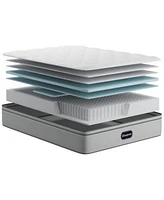Beautyrest Pampered Nights 13.75 Medium Pillow Top Mattress Collection