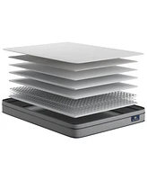 Serta Flowering Cherry 8" Plush Euro-Top Mattress