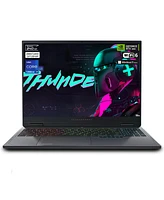 Thunderobot Radiant 16 4060 2.5K Gaming Laptop, 16" Wqxga 240Hz Display, Intel Core i9-13900HX, GeForce Rtx 4060, 16GB DDR5 Ram, 1TB PCIe Ssd, Rgb Bac