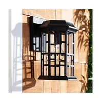 Carwen 8.46" Outdoor Sconce