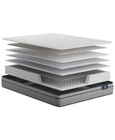 Serta Flowering Cherry 9.5 Medium Euro Top Mattress Collection