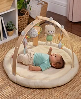 Ingenuity Baby Every Season Plush Lambswool Play Gym