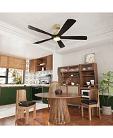 55 inch ceiling fan with light, both indoor and outdoor, with remote control, reversible Dc motor, no noise, suitable for bedroom, living room, terrac