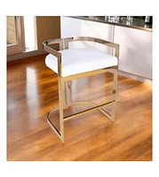 Industrial Counter Height Bar Chair with Iron Frame and Low Back
