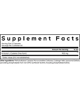 Codeage Liposomal Nac Supplement - N-Acetyl L-Cysteine Amino Acid - 2 Month Supply - Free-Form Nac - Phospholipid Complex