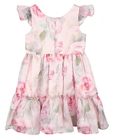 Rare Editions Toddler and Little Girls Floral Organza Party Dress