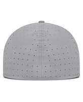 Nike Men's Gray Chicago Cubs True Performance Fitted Hat