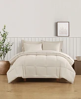 Truly Soft Green Solid 3-Pc. Comforter Set
