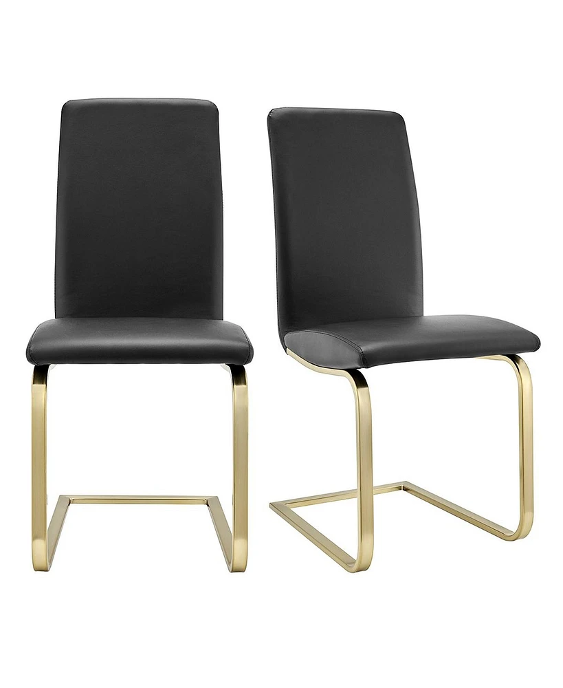Set of 2 Modern Dining Chairs for Kitchen Table or Home Seating