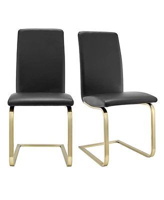 Set of 2 Modern Dining Chairs for Kitchen Table or Home Seating