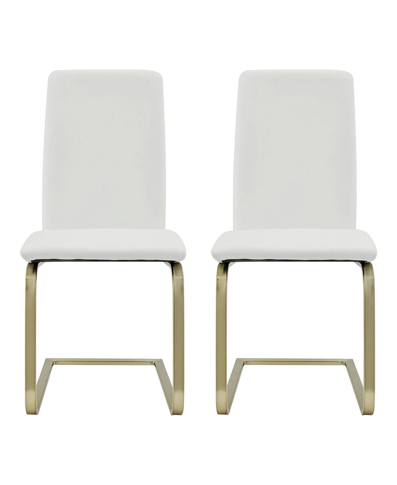 Set of 2 Modern Dining Chairs for Kitchen Table or Home Seating