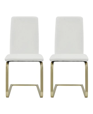Set of 2 Modern Dining Chairs for Kitchen Table or Home Seating