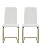 Set of 2 Modern Dining Chairs for Kitchen Table or Home Seating