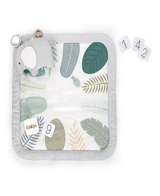 Ingenuity Baby Sprout Spot Baby Milestone Play Mat