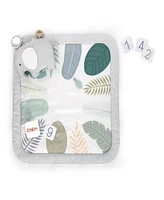 Ingenuity Baby Sprout Spot Baby Milestone Play Mat