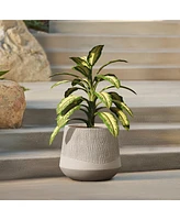 LuxenHome Blended Tan with Wood Pattern Round Tapered 11-Inch Tall MgO Planter, Indoor and Outdoor