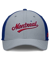 Nike Men's Gray/Blue Montreal Expos Rise Swoosh Performance Flex Hat
