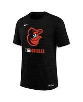 Nike Big Boys and Girls Black Baltimore Orioles Authentic Collection Velocity Performance T-Shirt