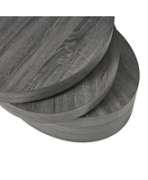 Multi-Functional Oval Rotating Coffee Table with 3 Layer Surfaces