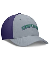 Nike Men's Purple/ Tampa Bay Rays Rise Swoosh Performance Flex Hat