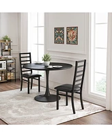 Modern Metal Dining Chairs, Set of 2 (Black)