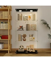 Black Tempered Glass Cabinet w/ Lights, Locks & Adjustable Feet