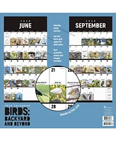 2026 Birds: Backyard and Beyond Wall Calendar