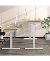 48-Inch Electric Standing Adjustable Desk with Control Panel and Usb Port