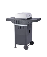 2-Burner Propane Bbq Grill with Pizza Box & Foldable Table