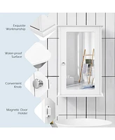 Bathroom Wall Cabinet with Single Mirror Door