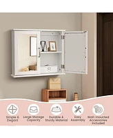 2-Tier Bathroom Wall-Mounted Mirror Storage Cabinet with Handles