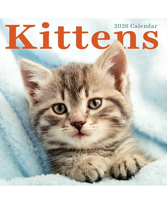 2026 Kittens Wall Calendar