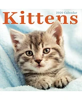 2026 Kittens Wall Calendar
