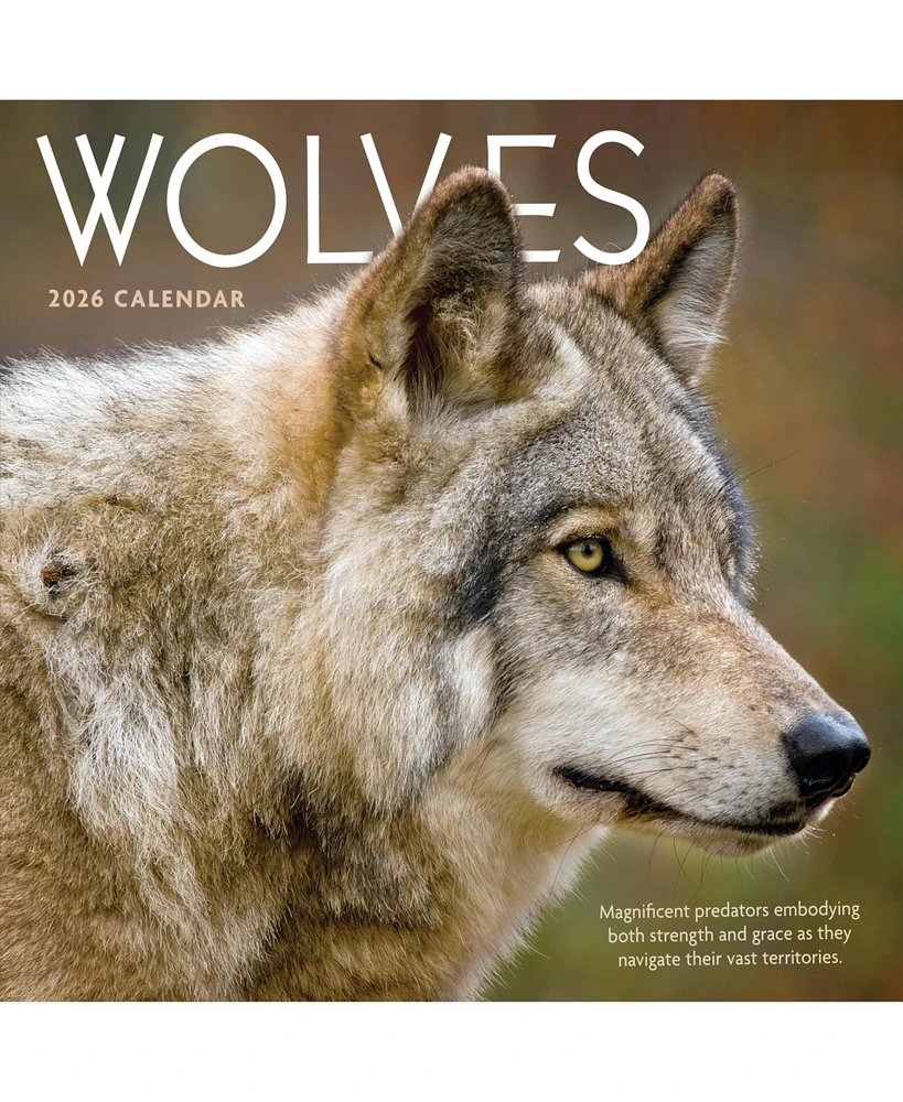 2026 Wolves Wall Calendar
