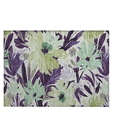 Addison Chantille ACN1485 1'8"x2'6" Area Rug