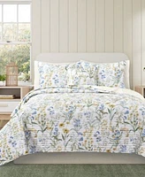 J By J Queen Bold Tallulah Comforter Sets