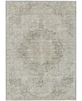 Addison Chantille Machine Washable ACN1238 10'x14' Area Rug
